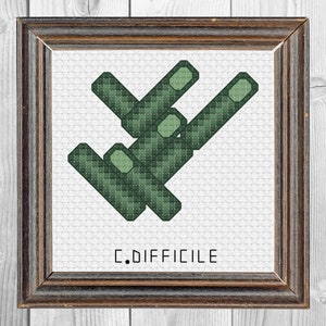 May include: A framed cross-stitch embroidery featuring a cluster of dark green, rod-shaped bacteria arranged in a geometric pattern on a white fabric background. The text C.DIFFICILE is stitched in black capital letters at the bottom of the frame.