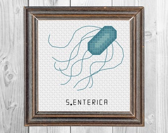 S enterica Cross Stitch PDF Pattern