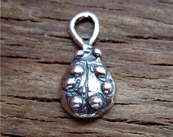 Ein kleiner Handwerker Marienkäfer Charms in Sterling Silber (ein Charme) (A)