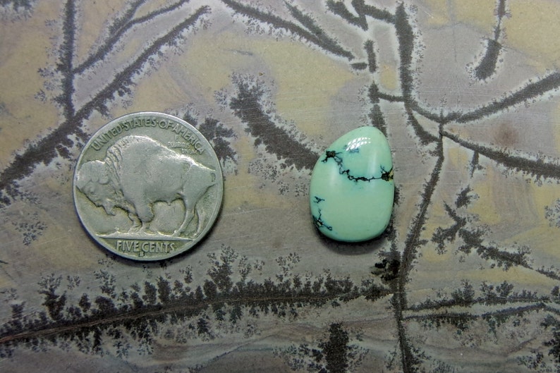 Nevada Handcut Natural Peacock Turquoise Cabochon; Natural