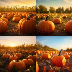 4 Halloween Digital Backdrops for Photography - Pumpkin Patch