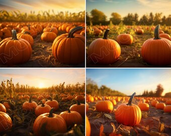 4 Halloween Digital Backdrops for Photography - Pumpkin Patch