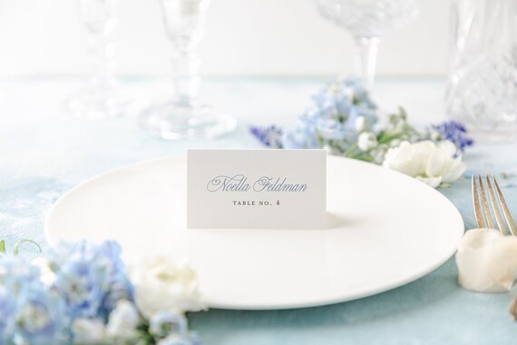 wedding place cards / wedding escort cards / modern