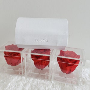 May include: Three clear acrylic boxes each containing a single preserved red rose. The boxes are arranged in a row on a white fluffy surface. A white box with the word "Pandora" embossed on it is sitting on top of the boxes.