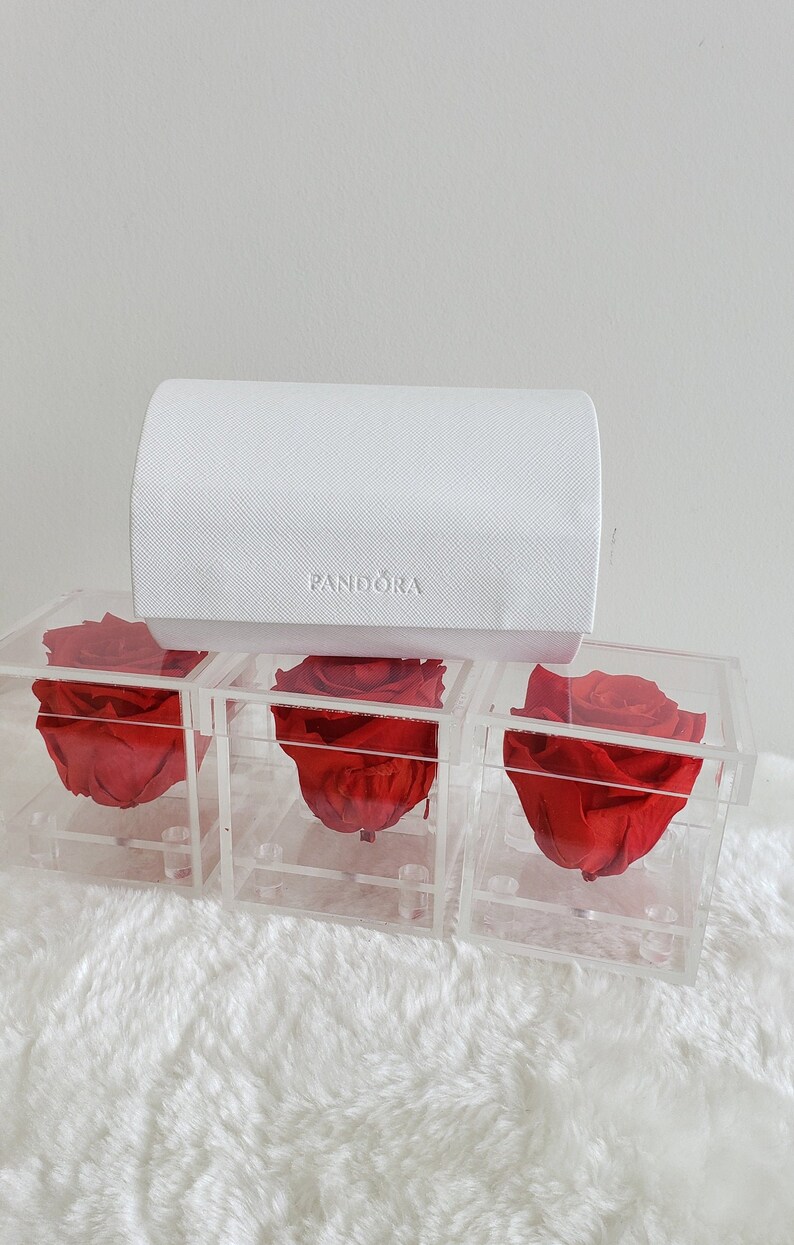 May include: Three clear acrylic boxes each containing a single preserved red rose. The boxes are arranged in a row on a white fluffy surface. A white box with the word "Pandora" embossed on it is sitting on top of the boxes.