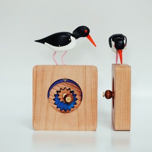 Oystercatcher Automaton