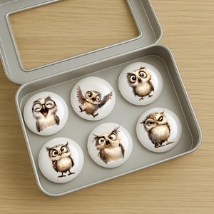 May include: A set of six round, white owl-themed magnets in a silver tin. Each magnet features a different cartoon owl illustration in shades of brown, tan, and white. The owls have various expressions, including happy, surprised, and grumpy.