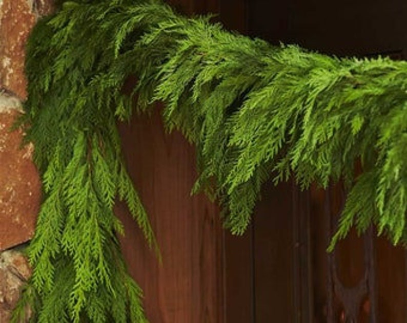 5' Fresh Cedar Garland preorder Available Etsy