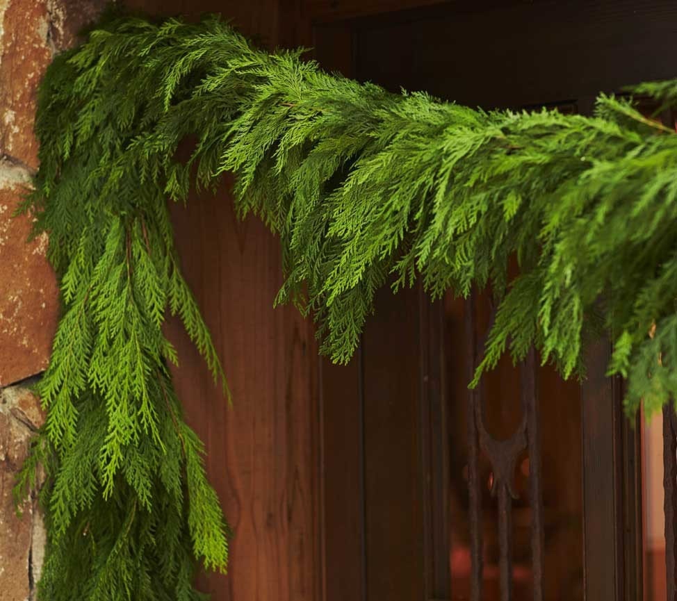 10' Fresh Cedar Garland - (PRE-ORDER AVAILABLE) - Etsy