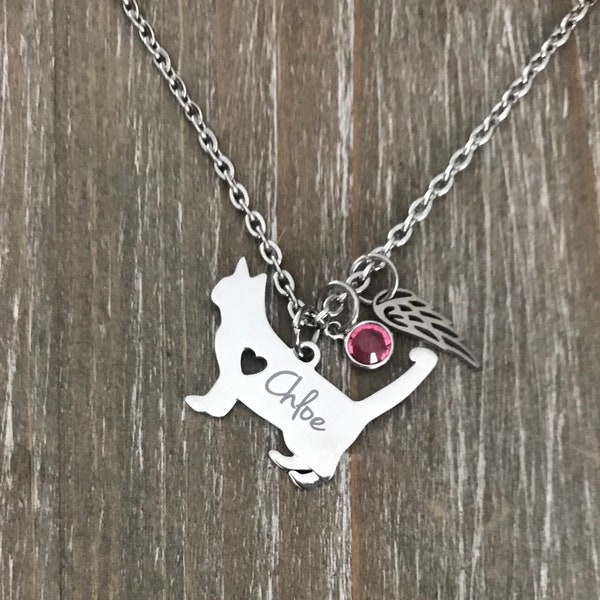 Cat Memorial Necklace, Loss of cat, Pet loss jewelry, pet gift, cat Necklace, Personalized Pet Jewelry Custom Pet Loss Necklace with name