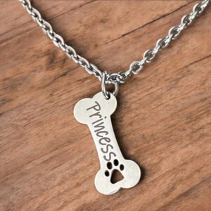 May include: A silver dog tag necklace with a bone-shaped pendant. The pendant has the word "Princess" engraved on it and a paw print.