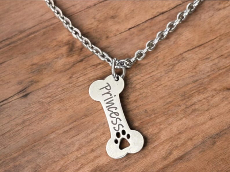 May include: A silver dog tag necklace with a bone-shaped pendant. The pendant has the word "Princess" engraved on it and a paw print.