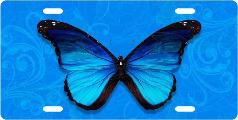 Blue Butterfly License Plate Tag image 1