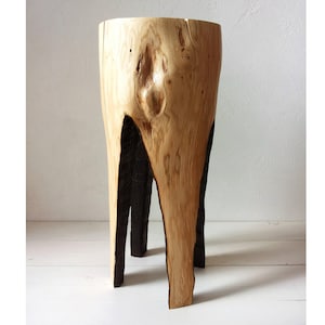 Natural Burned Wood Log Stool: Rustic Tree Stump Side Table