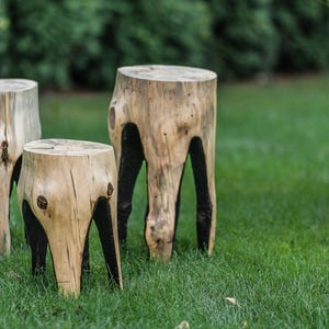 Rustic Tree Stump Side Table: Modern Farmhouse Wood Stool image 19