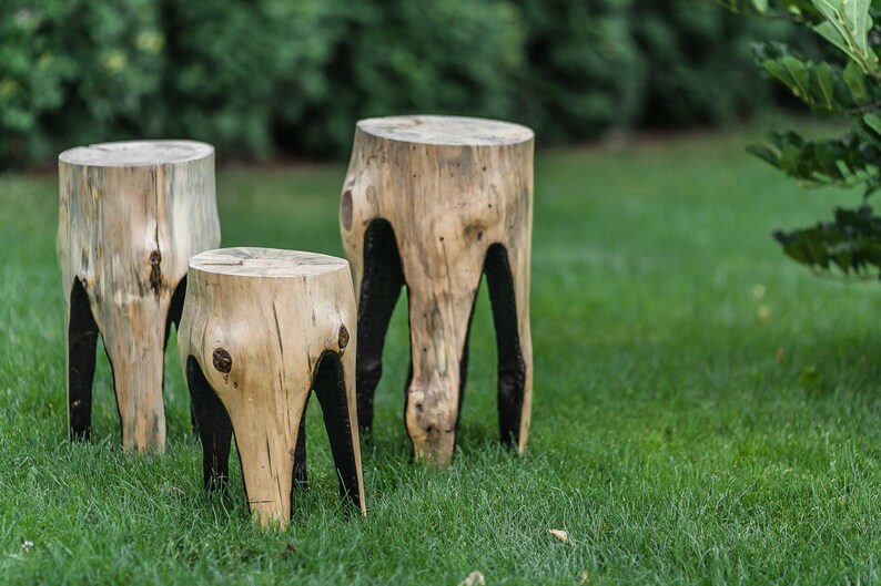 Rustic Tree Stump Side Table: Modern Farmhouse Wood Stool image 19