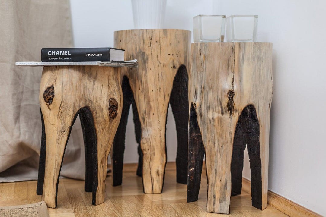 Burned Tree Stump Stools: Rustic Farmhouse Plant Stands - Set of