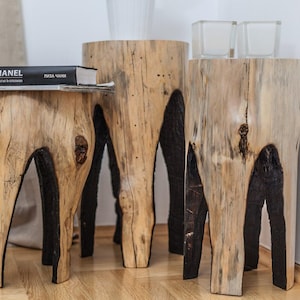 Burned Tree Stump Stools: Rustic Farmhouse Plant Stands - Set of Three