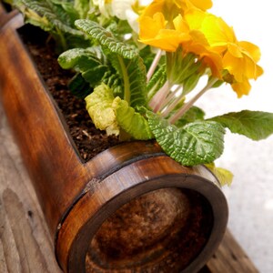 Peut inclure: Un pot en bambou brun avec des fleurs jaunes, blanches et roses. Le pot est fait de bambou naturel et a un aspect rustique.