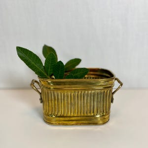 May include: A rectangular, gold-colored metal planter with vertical ribbed detailing. The planter has small handles on each side and is filled with green leaves. The planter is sitting on a white surface.