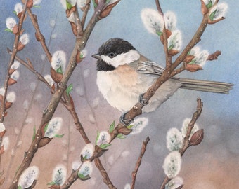 Waiting in the Willows (framed print from watercolour of chickadee in pussywillows by Cori Lee Marvin)