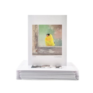 Set of 10 Cards Your Choice (please list titles of your choices, from anything in my shop, in a message at checkout)