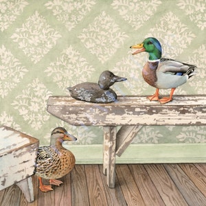 The Decoy (stampa incorniciata da acquerello raffigurante anatre domestiche e un richiamo in legno di Cori Lee Marvin)