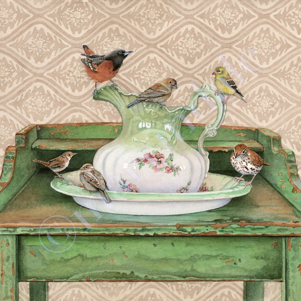 At the Washstand (framed art print from watercolour of an unusual assortment of songbirds by cori lee marvin)