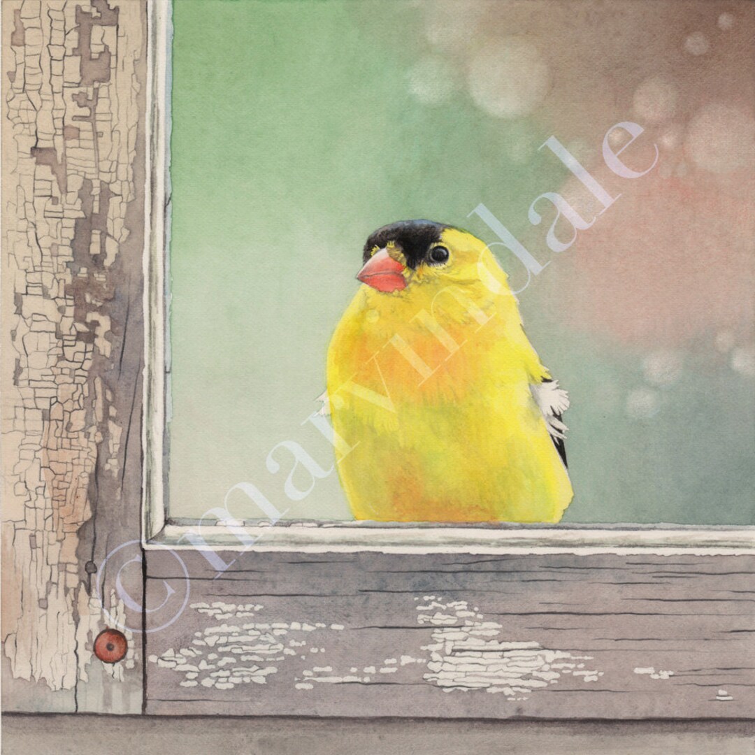 Goldfinch Art Print: Framed Watercolor Bird in Old Window - Etsy