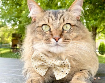 Glittery Gold Bow Tie | Glitter Cat Bow Tie | Gold Sequins Cat Bow Tie