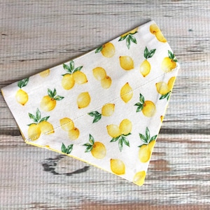 Lemon Cat Bandana | Lemon Dog Bandana | Tossed Lemons Cat Bandana | Tossed Lemons Dog Bandana | Dog Bandana | Cat Bandana | Gotcha Day Gift
