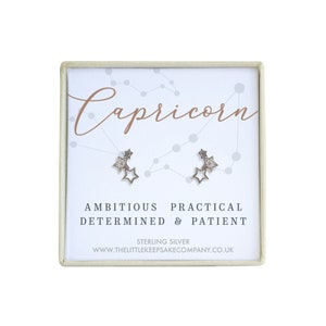 Sterling Silver & Cz Zodiac Earrings - Capricorn