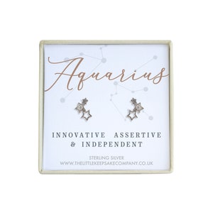 Sterling Silver & Cz Zodiac Earrings - Aquarius