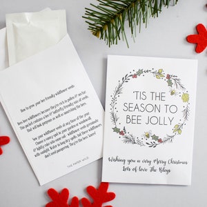10 paquets de graines de Noël Jolly d’abeilles sauvages