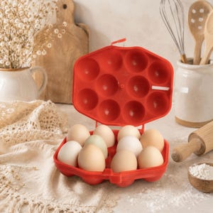 Vintage plastic egg holder Kitchen storage container Egg carrier box basket with handle