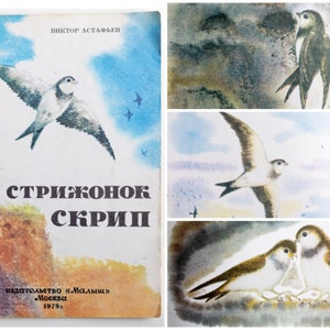 Old childrens books about animals by V. Astafyev Vintage picture kids book Old used books 1970s