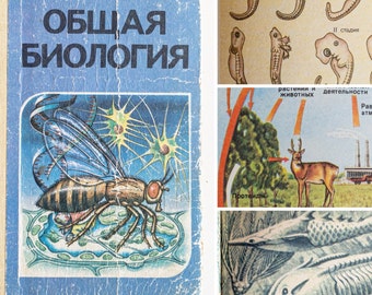Allgemeines Biologiebuch Retro Vintage Nachschlagewerk Illustriertes Tierschulbuch