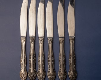 Vintage-Besteck aus Edelstahl, versilberte Messer, antikes Küchenbesteck-Set