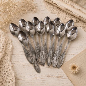 12 Vintage-Kaffeelöffel im Besteckkasten, kleine Teelöffel, Retro-Besteck