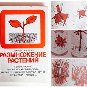 Old botanical plants book Flower illustration reference books Herbs prints PLANTS PROPAGATION