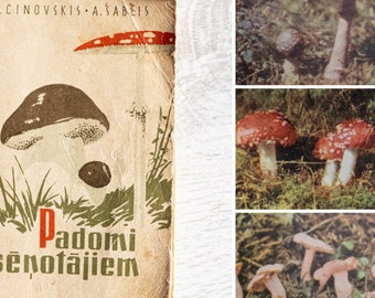 Livre sur les champignons vintage Journal sur les champignons d'occasion Livre photo botanique éphémère sur la nature