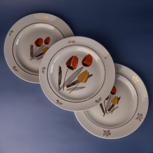 May include: Three white ceramic plates with a floral tulip design. Each plate features a gold rim and a pattern of red and yellow tulips with gray and brown stems. The plates are arranged on a blue background.