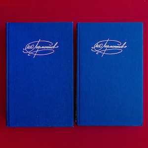 2 livres d'occasion vintage, livre de poésie de M. Lermontov, romans classiques en russe, ensemble de livres décoratifs anciens