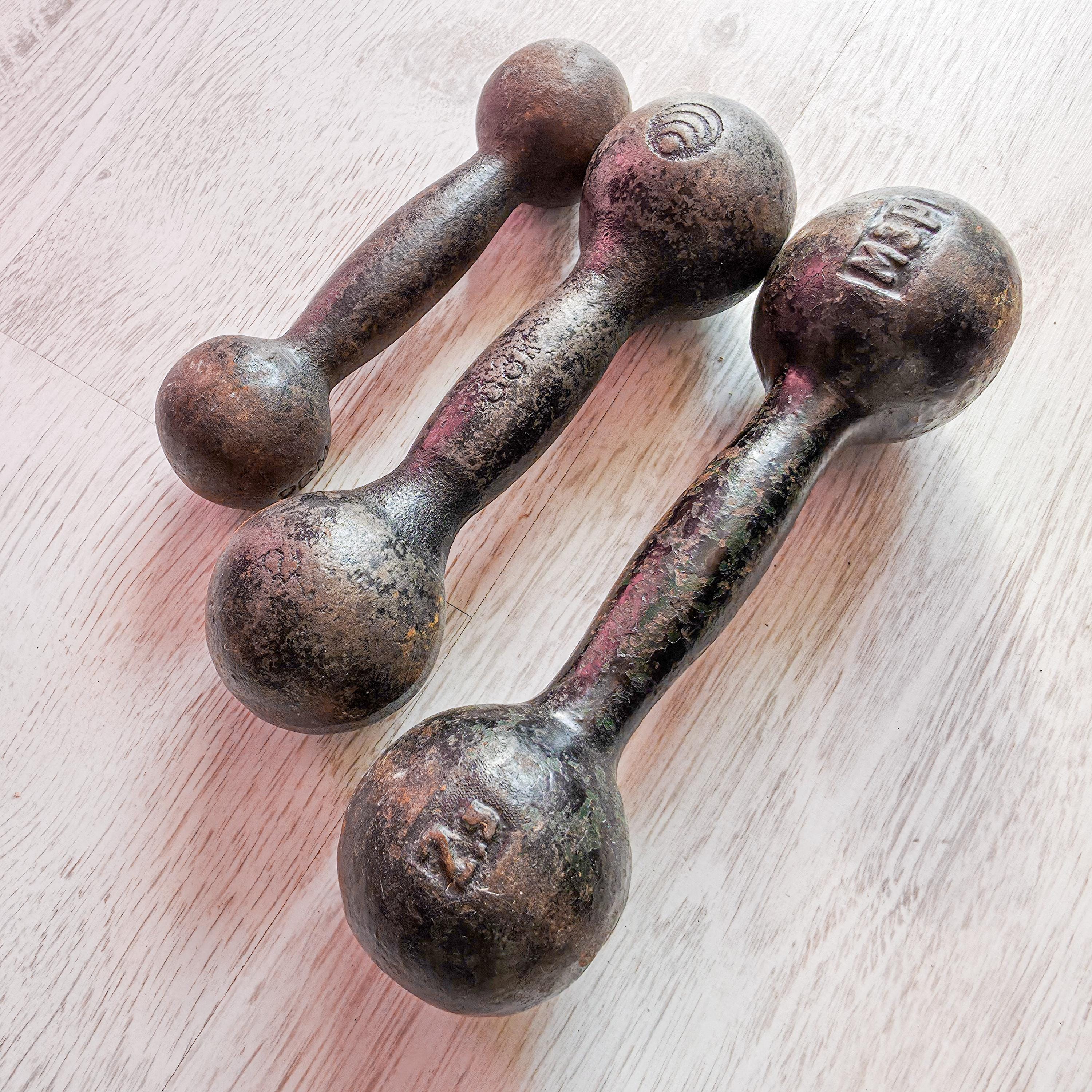 Cast Iron Best Place To Buy Dumbbells Online Gym Equipment Buy