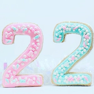 Candy Land Birthday 1 2 3 4 5 Photo Prop Candy Sweets Party Number Sign Fake Bake Cookie  Display 8 Inch Tall