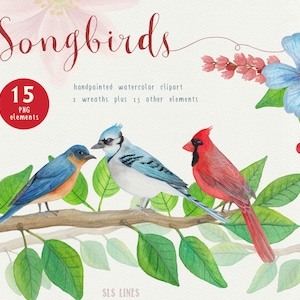 Song Bird Watercolor Clipart, Bird Graphics PNG, Bluejay and Cardinal Clipart