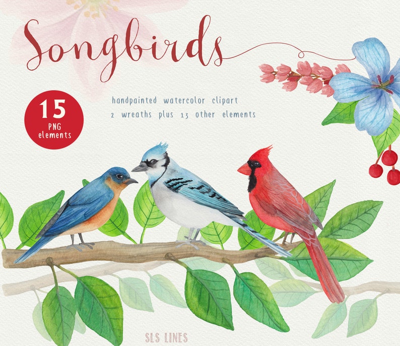 Song Bird Watercolor Clipart, Bird Graphics PNG, Bluejay and Cardinal Clipart