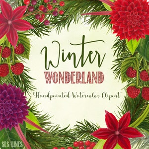 Christmas Watercolor Clipart,  Christmas Flowers and Pine Watercolor PNGs