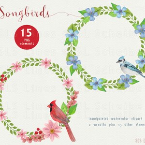 Song Bird Watercolor Clipart, Bird Graphics PNG, Bluejay and Cardinal Clipart