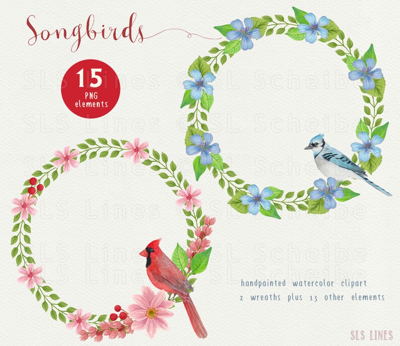 Song Bird Watercolor Clipart, Bird Graphics PNG, Bluejay and Cardinal Clipart